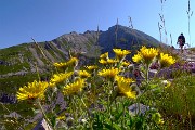 SENTIERO DEI FIORI ‘Claudio Brissoni’ da Capanna 2000 il 10 luglio 2023- FOTOGALLERY